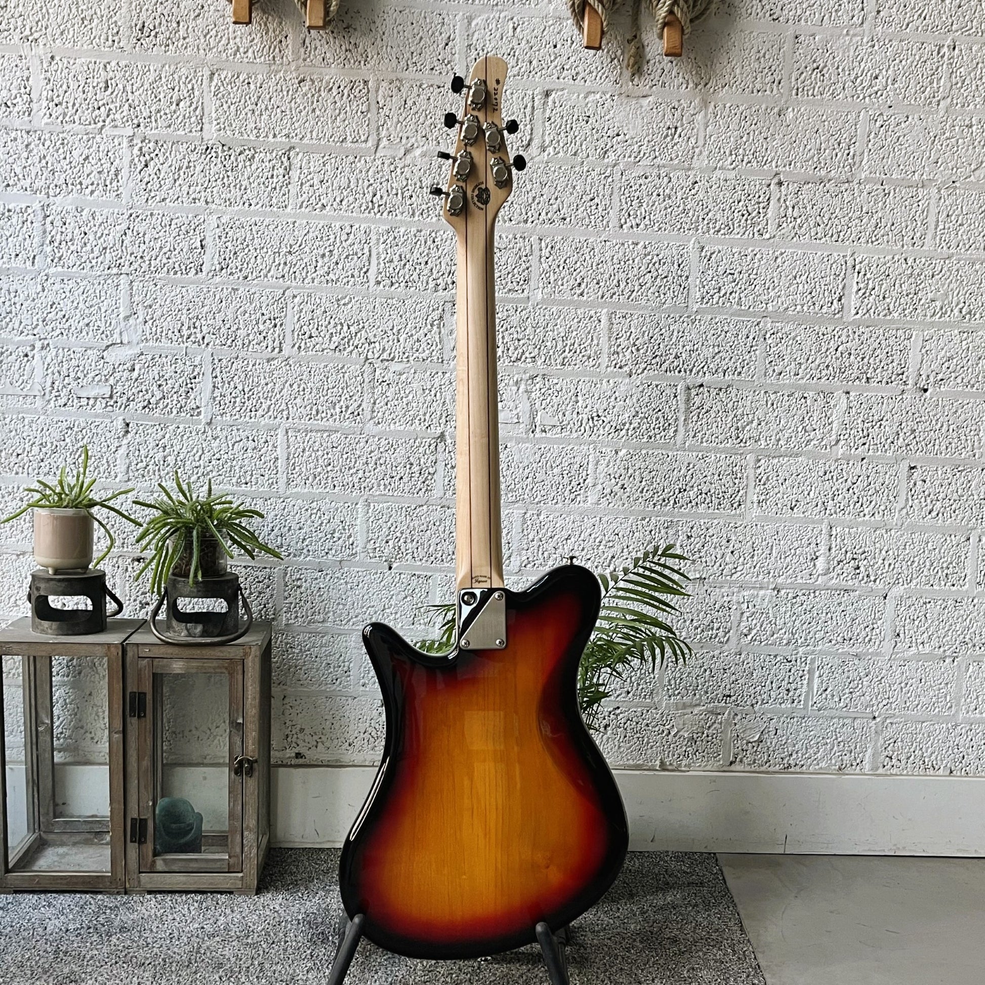 OOPEGG Trailbreaker MK1 3TS Back