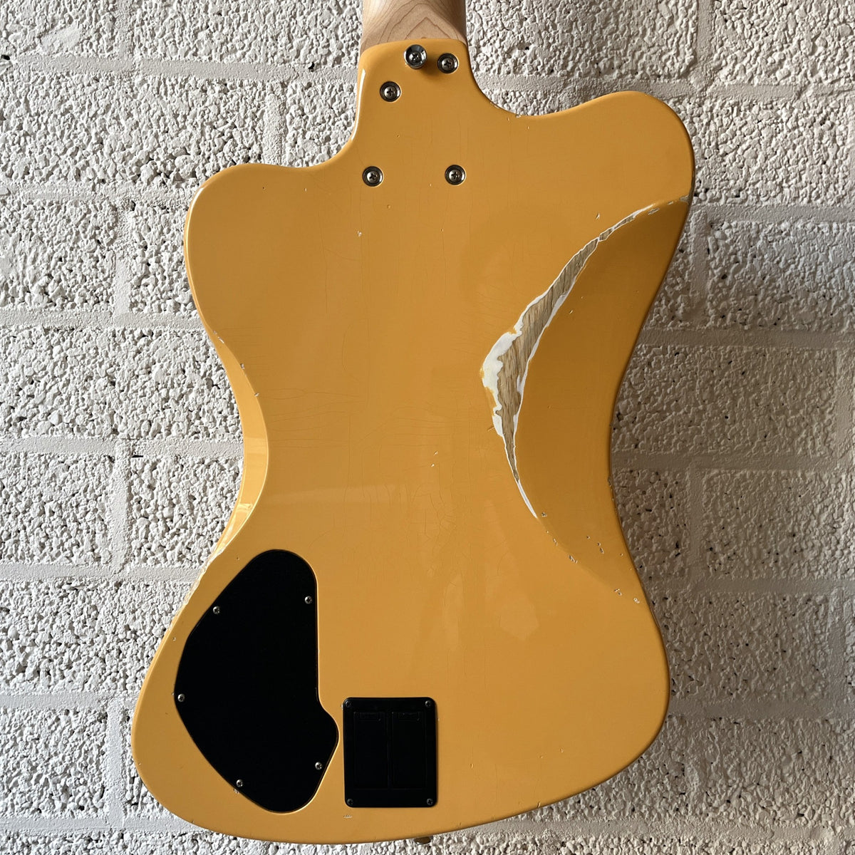 kaminari yardbird yu-suto sunflower yellow body closeup back view