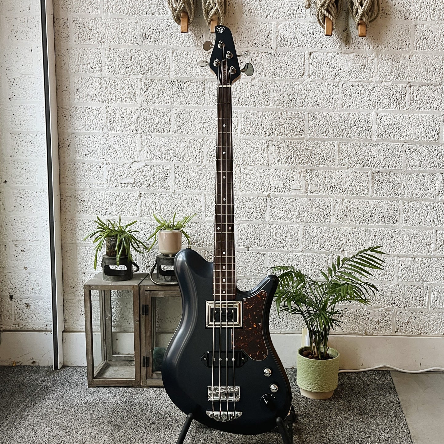oopegg stormbreaker bass charcoal frost with brown tortoise pickguard