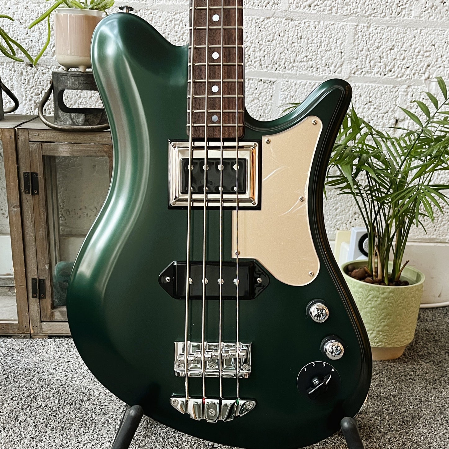 oopegg stormbreaker bass dark green metallic with gold acrylic pickguard body detail