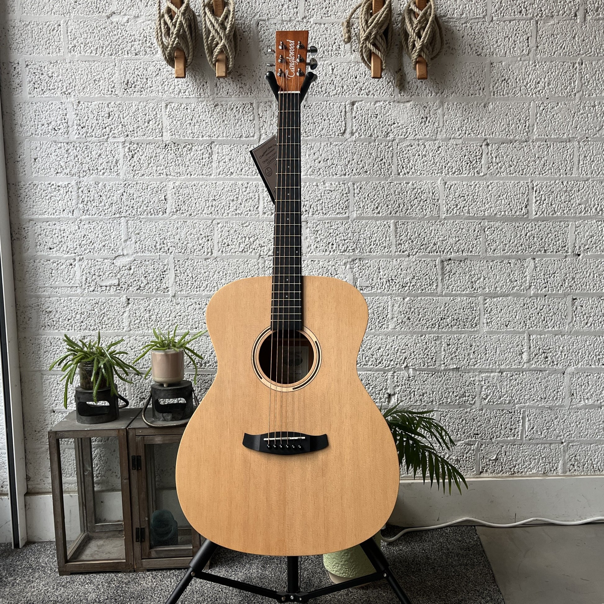 tanglewood tr3 roadster auditorium acoustic guitar front view